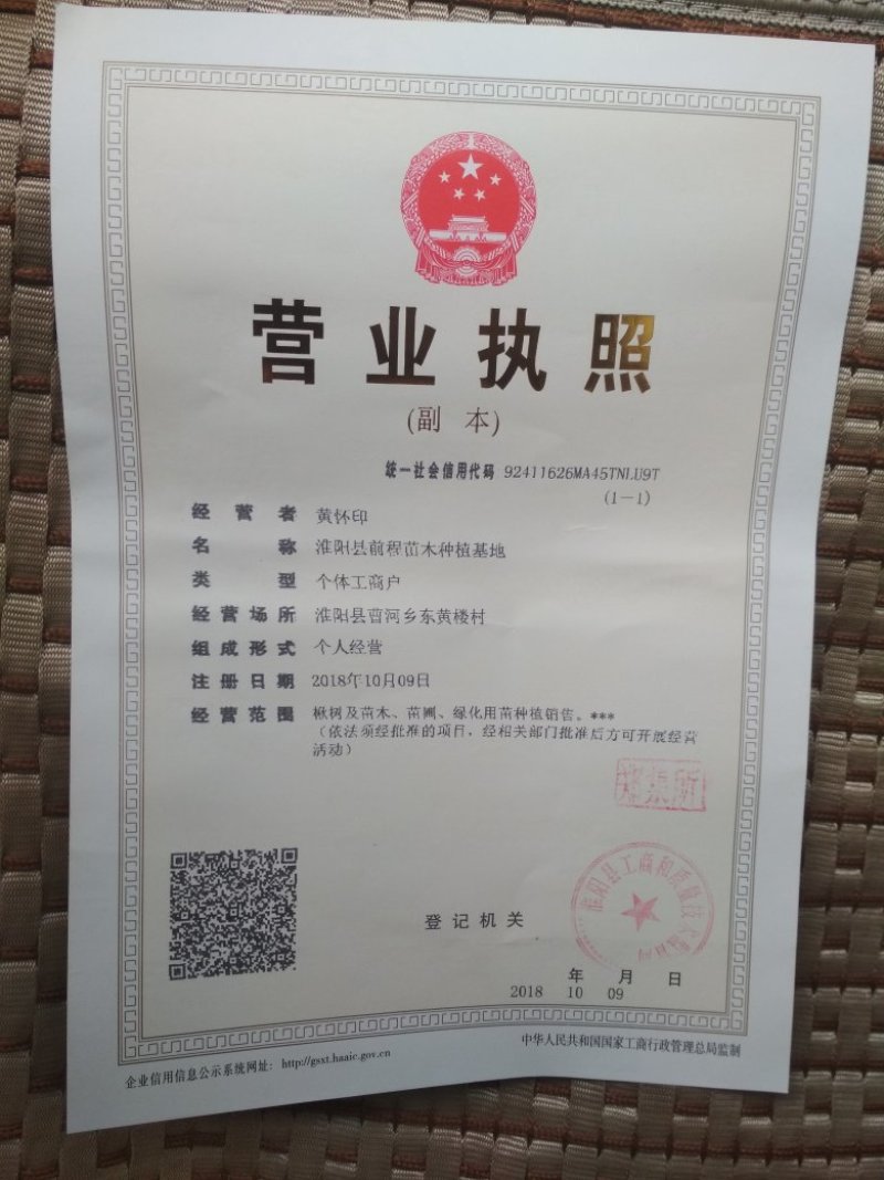 楸树