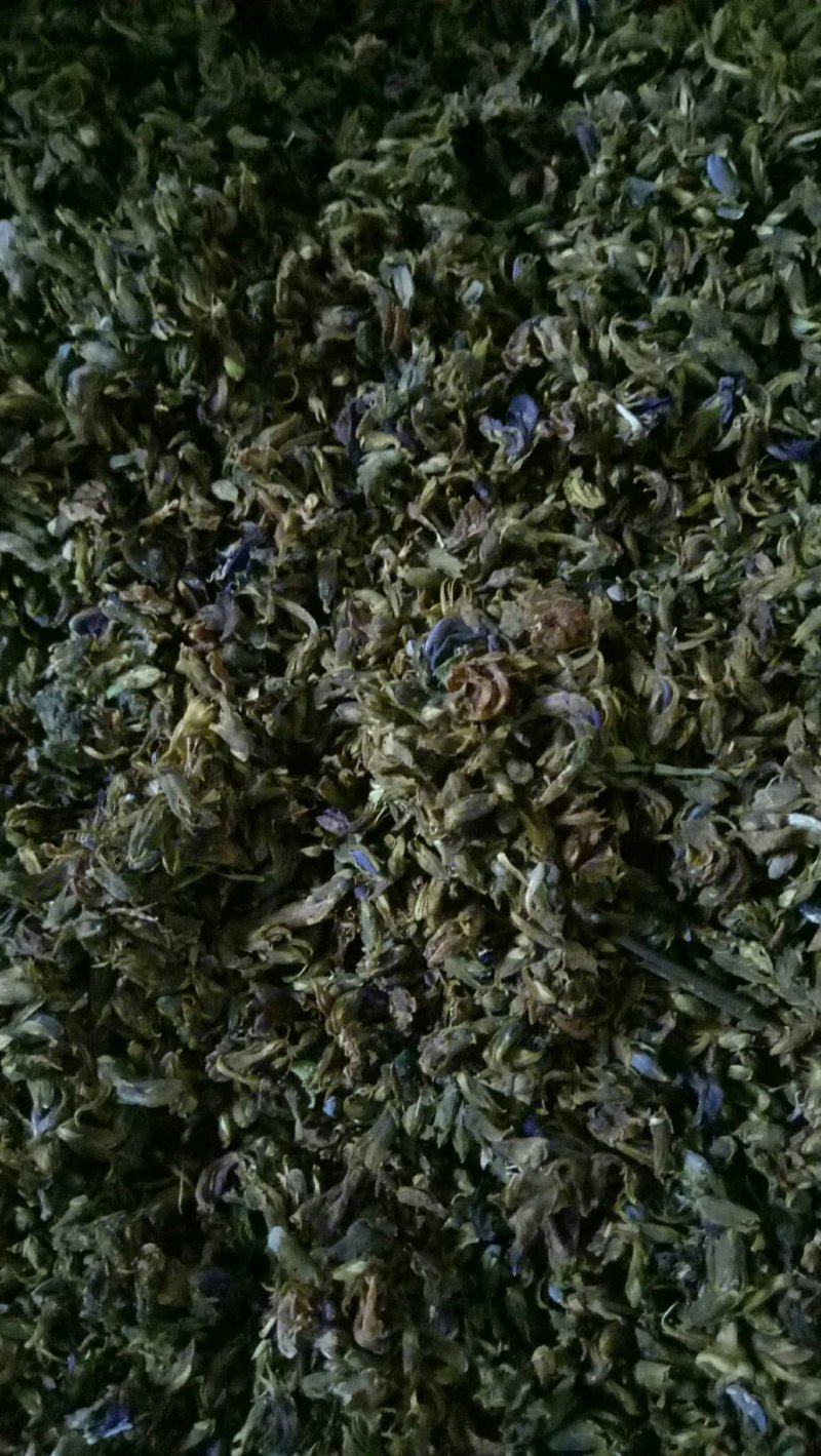 葛花