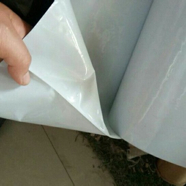 大棚膜无滴膜黑白膜加厚透明塑料薄膜温室