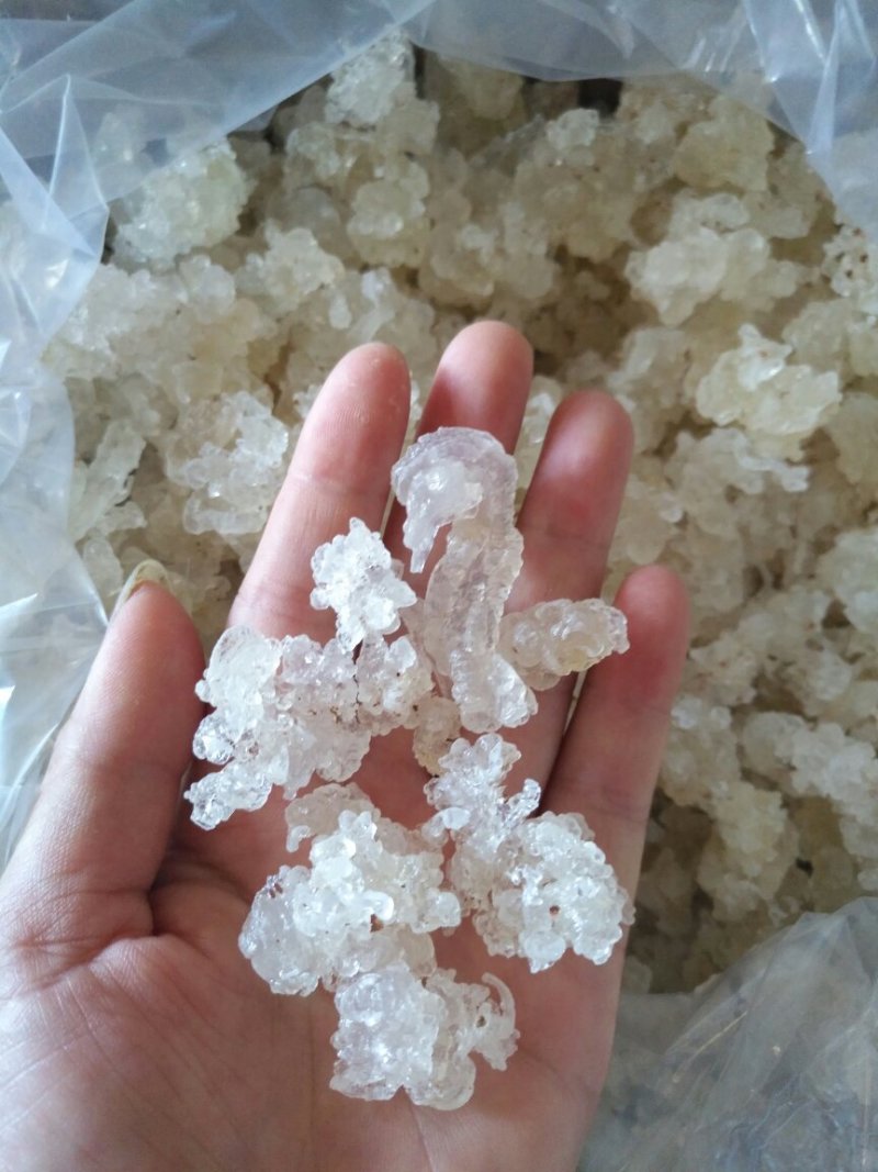 缅甸特级雪燕，500克一袋，包邮，量大从优