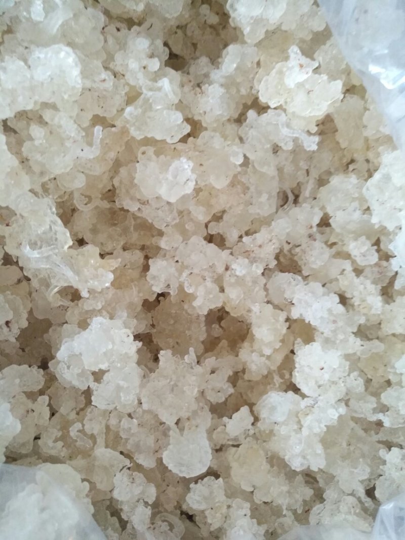 缅甸特级雪燕，500克一袋，包邮，量大从优