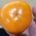 磨盘圆柿子可做柿饼