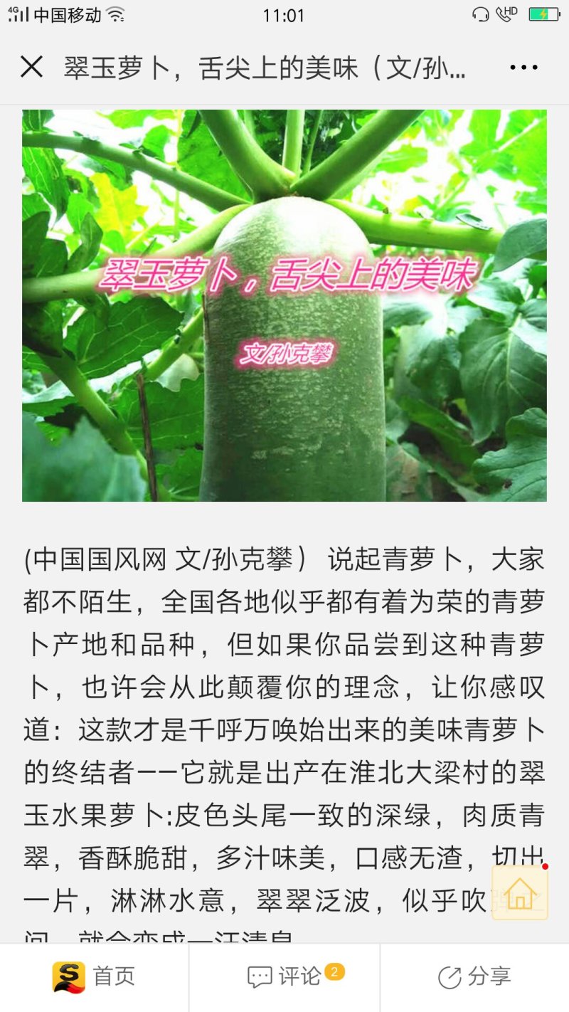 水果青萝卜