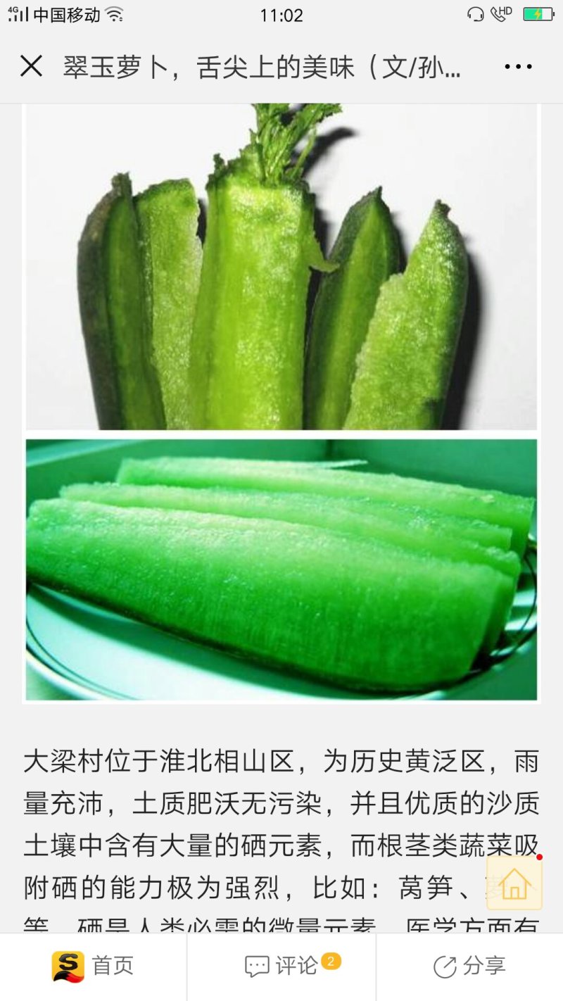淮北水果青萝卜供应阜阳宿州亳州，天津山东全国，绿肉甜脆