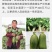 淮北水果青萝卜供应阜阳宿州亳州，天津山东全国，绿肉甜脆