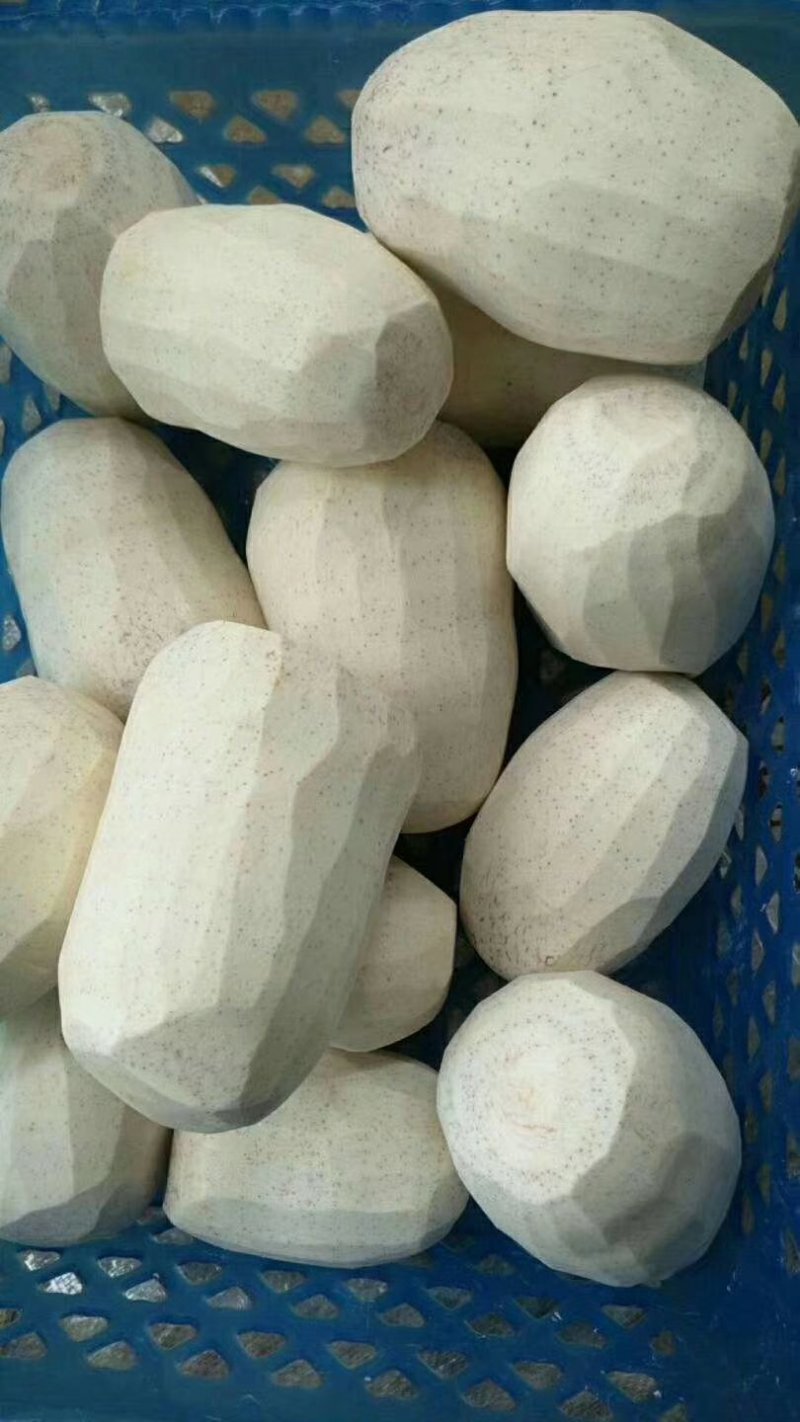 香芋，芋头，槟榔芋，大量供应，质量保证！