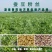 豌豆粉丝，34年企业品牌（岳阳名优特产）
