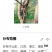 九香虫小统清水全干货