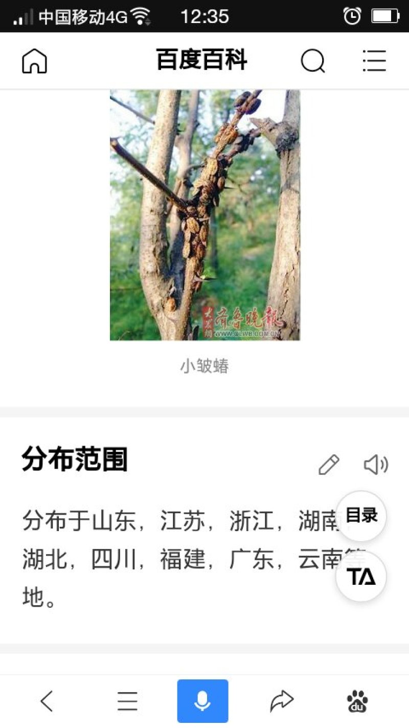 九香虫小统清水全干货