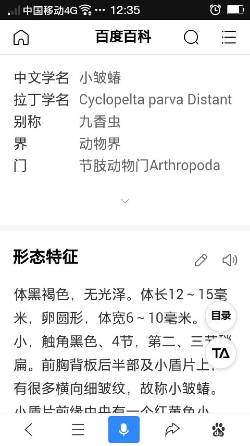 九香虫小统清水全干货