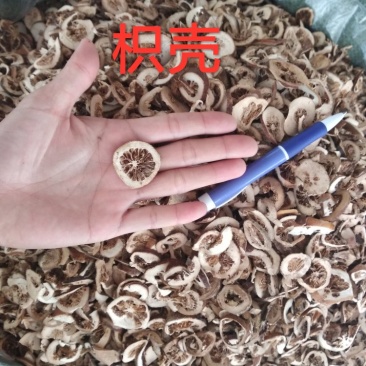 枳壳枳实果壳中药用各种规格枳壳无硫磺熏制