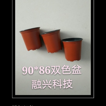 90*86