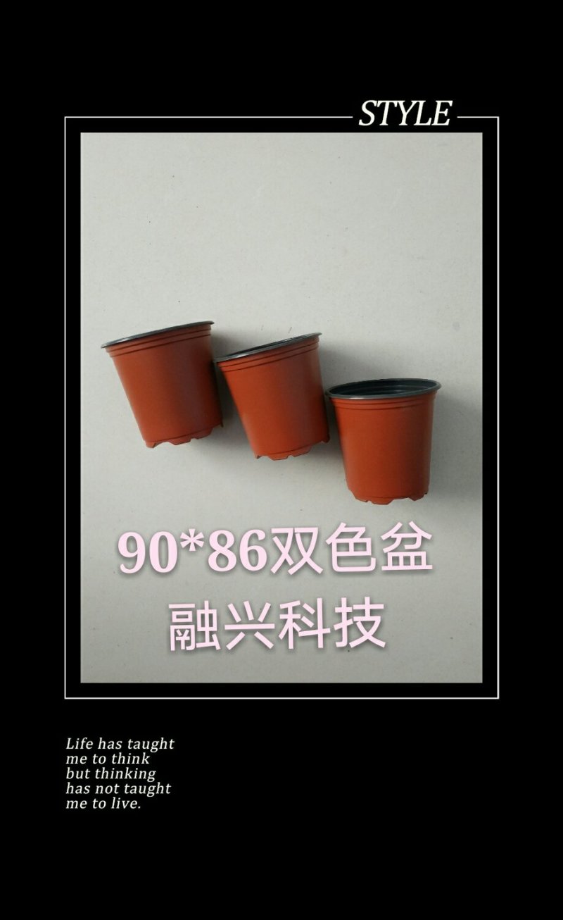 90*86