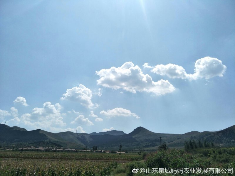 青石白谷糠米