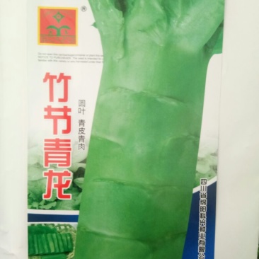 升级版竹筒青莴笋种子高桩莴笋种子二青莴笋种子莴苣种子