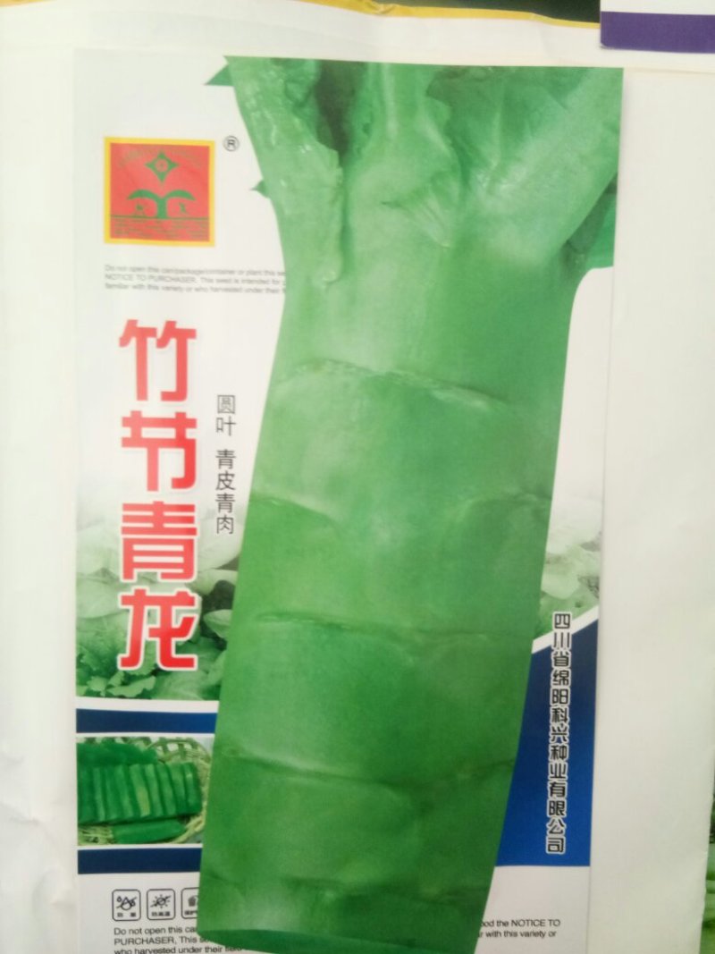 升级版竹筒青莴笋种子高桩莴笋种子二青莴笋种子莴苣种子