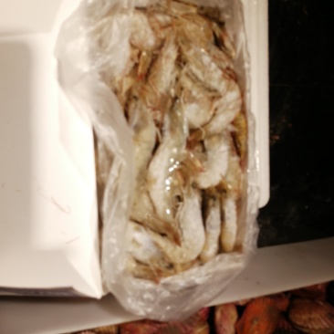 南美厄瓜多尔进口虾