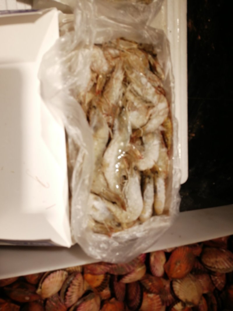 南美厄瓜多尔进口虾