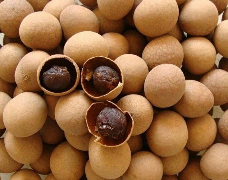 桂圆干