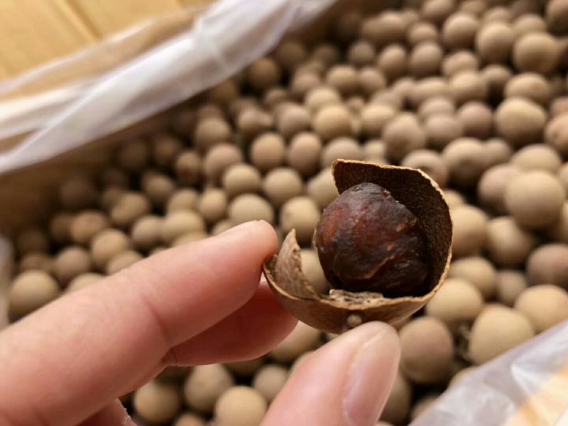 桂圆干