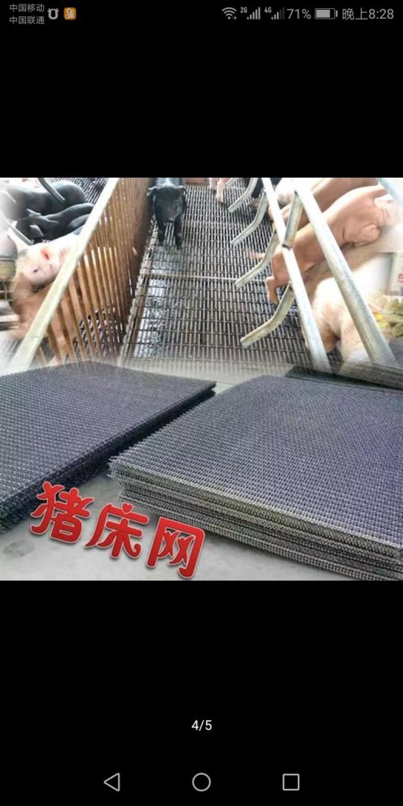 养猪网