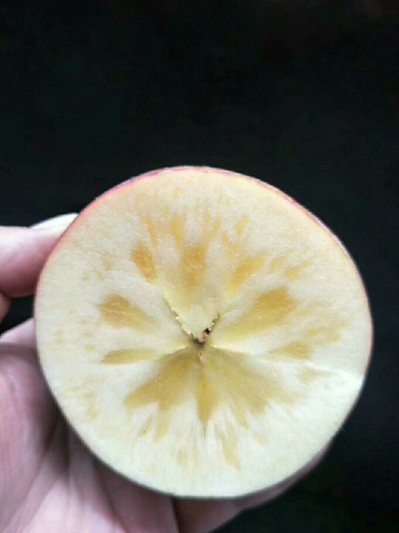 正中红富士