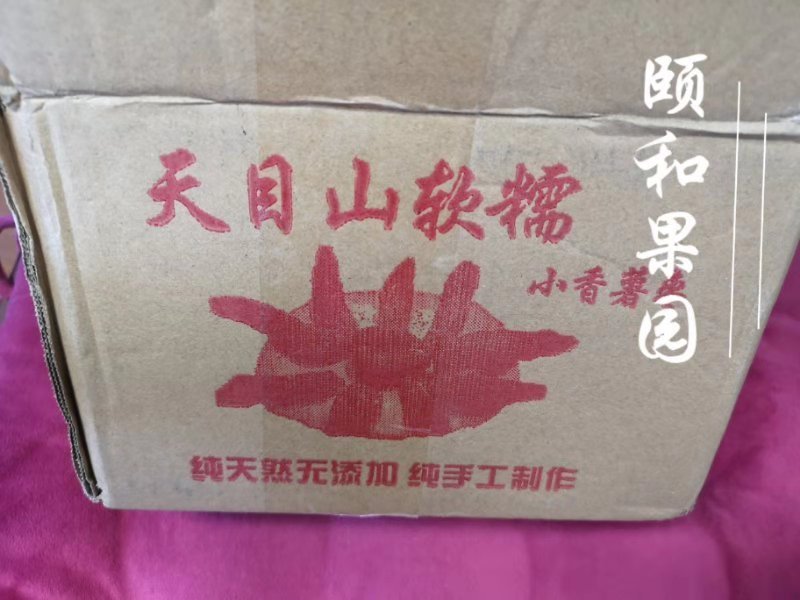 天目山小香薯枣
