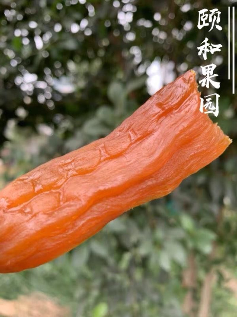 天目山小香薯枣