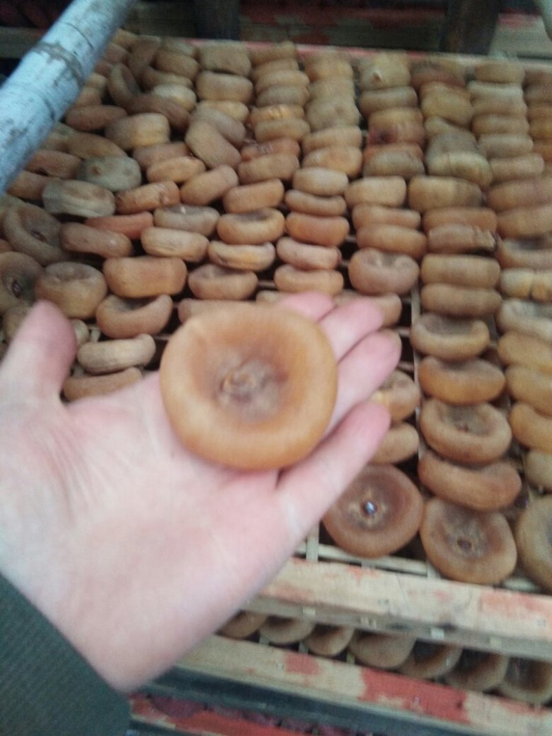 广西柿饼