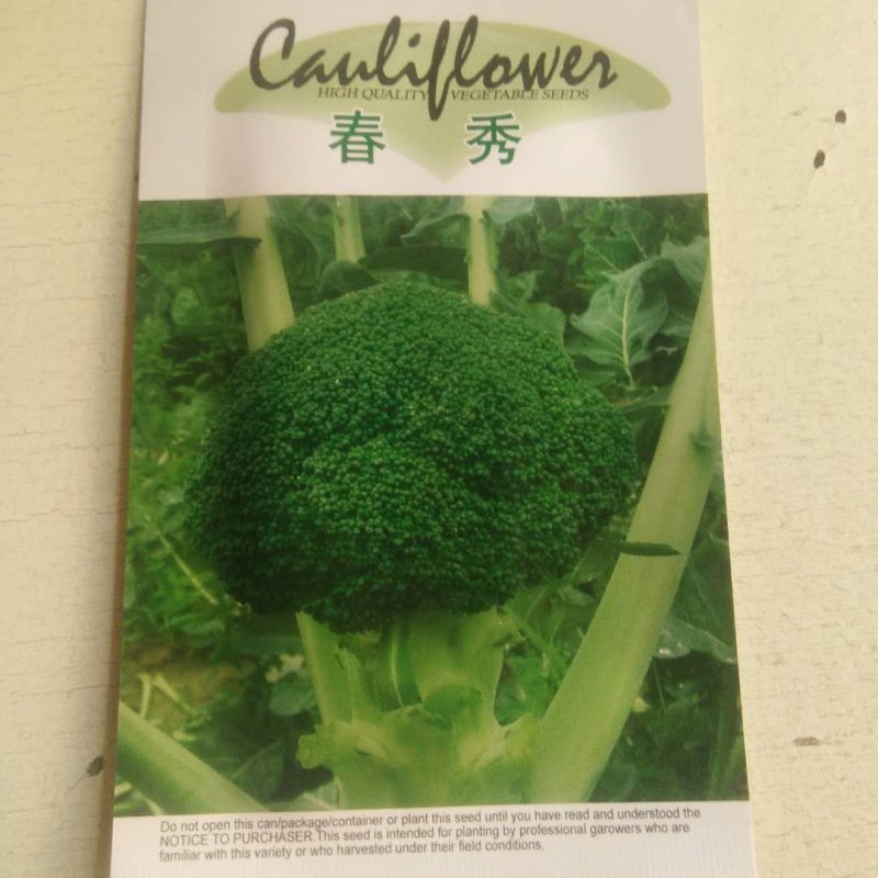 日，进，口春秀西兰花种子