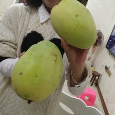 攀枝花纯天然无公害芒果