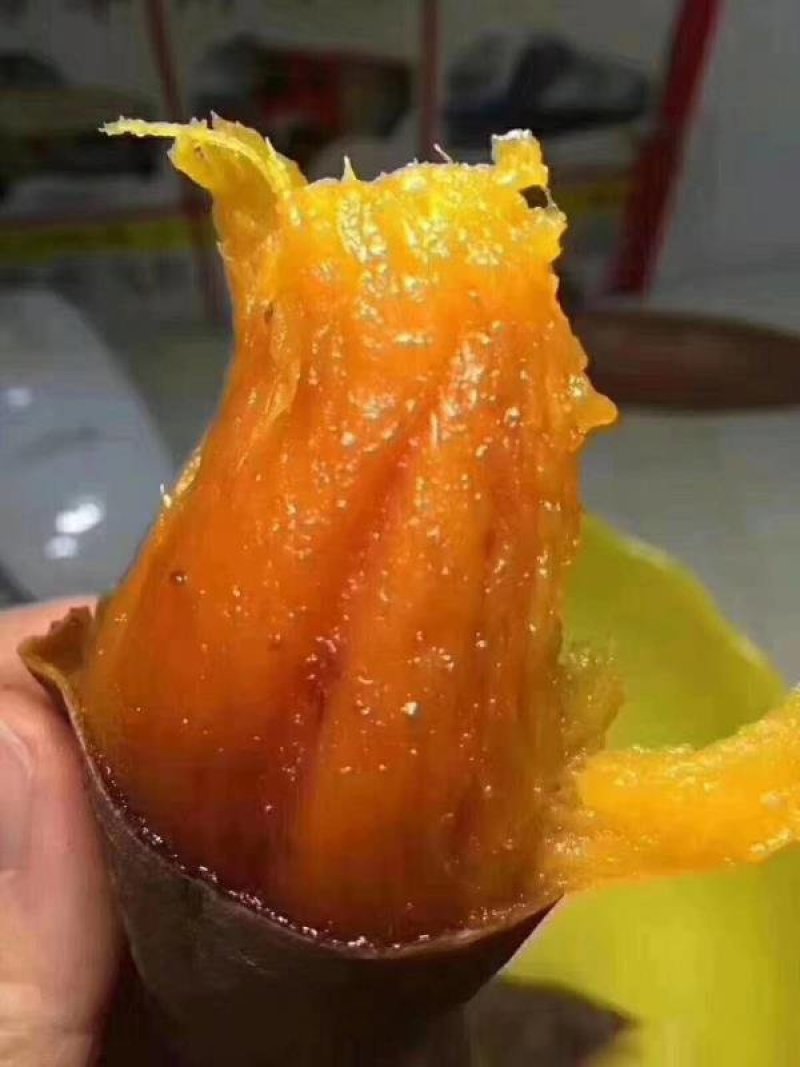 【推】烟薯25山东邹城丘陵沙土地种植品质保证红皮红心蜜甜
