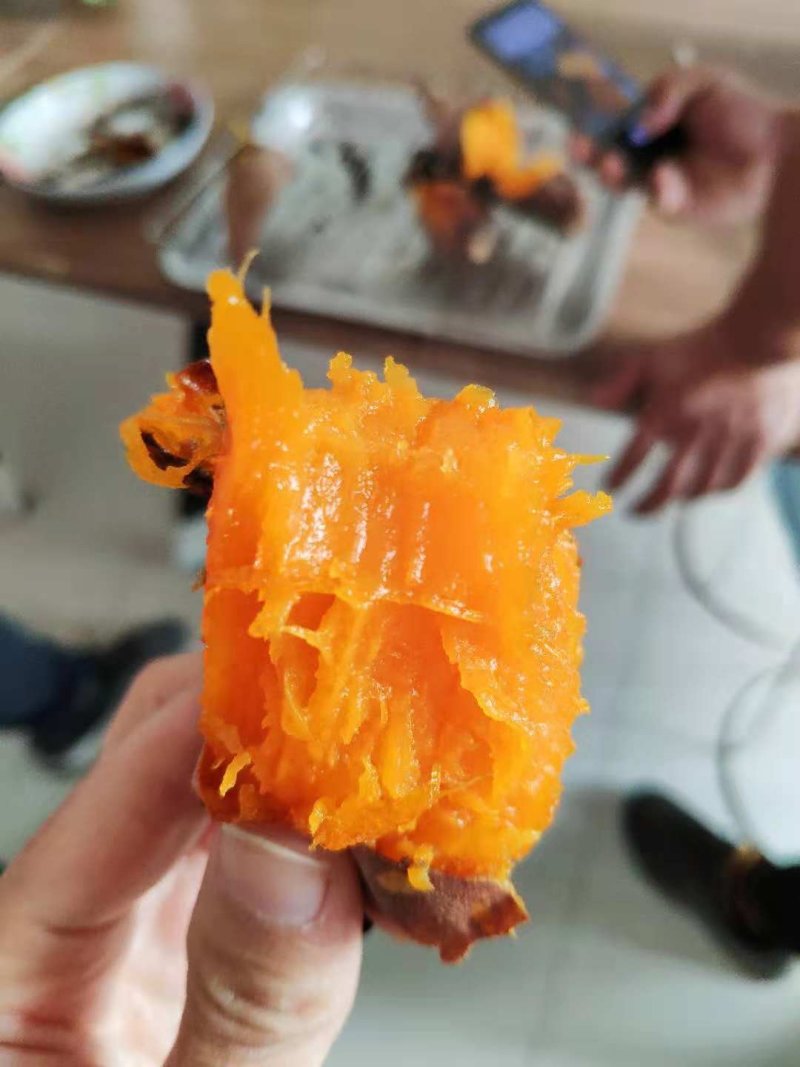 【推】烟薯25山东邹城丘陵沙土地种植品质保证红皮红心蜜甜