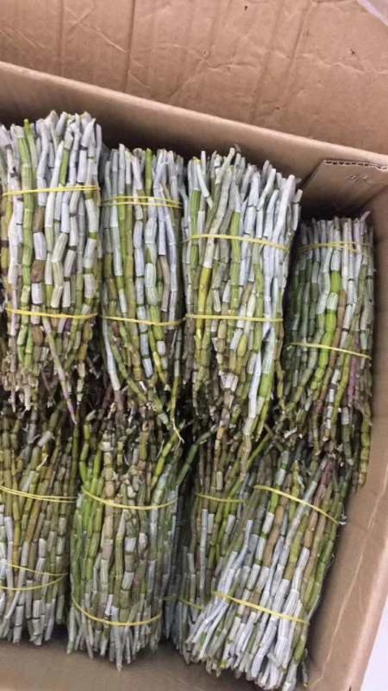 各种药材种苗供应，白芨干品供应