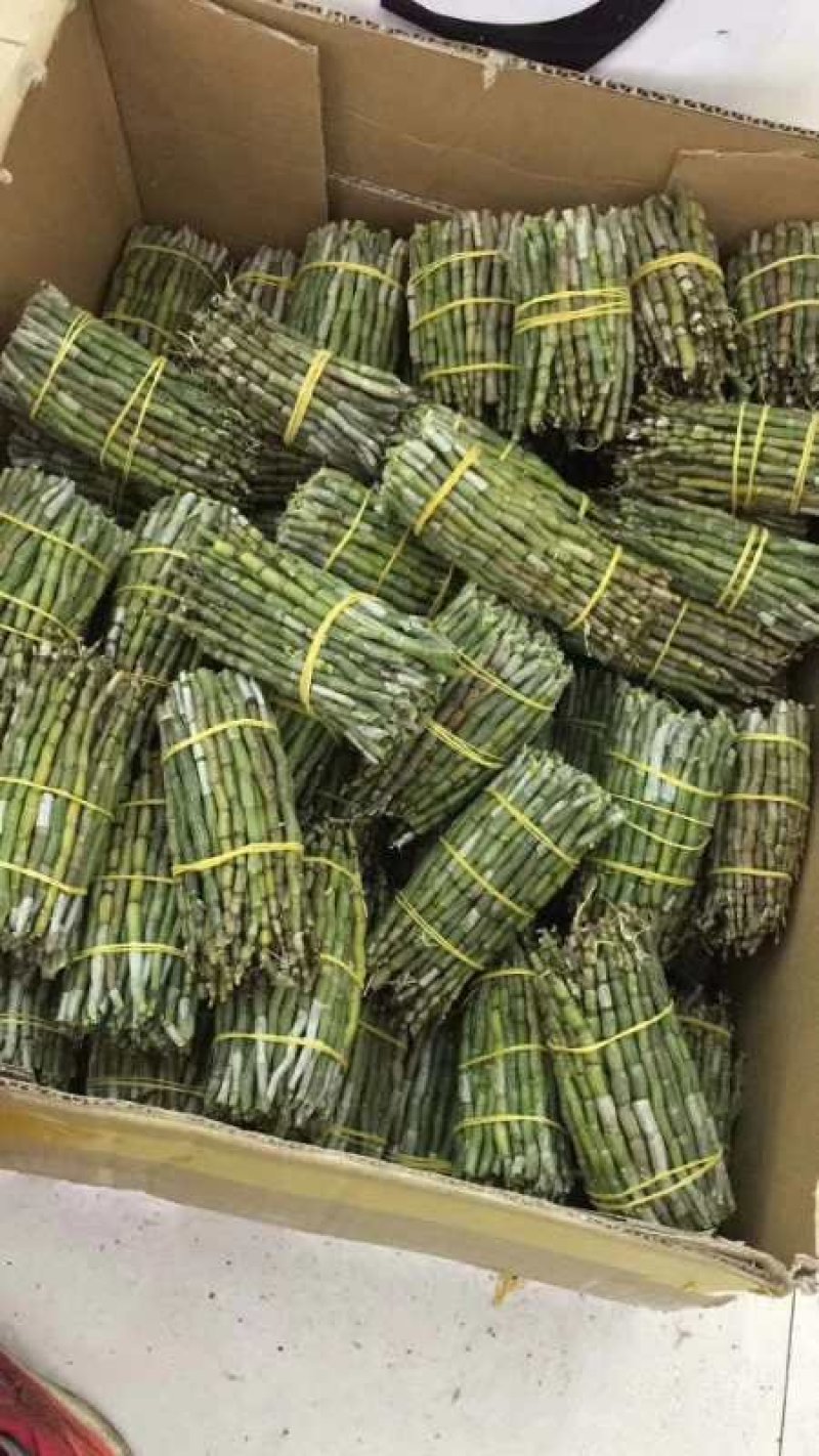 各种药材种苗供应，白芨干品供应