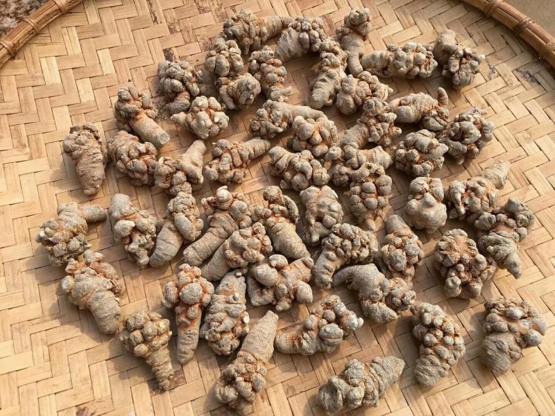各种药材种苗供应，白芨干品供应