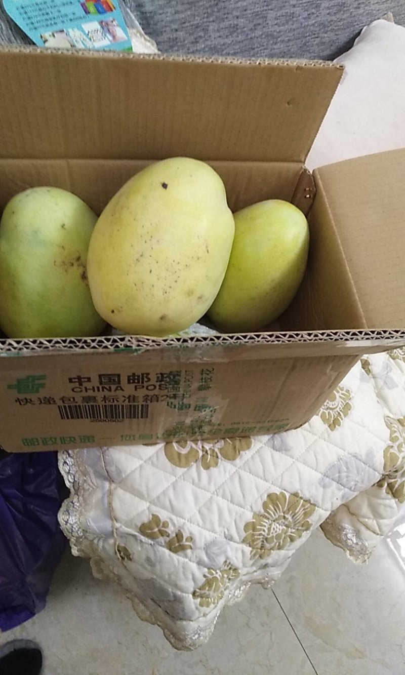 攀枝花纯天然无公害芒果