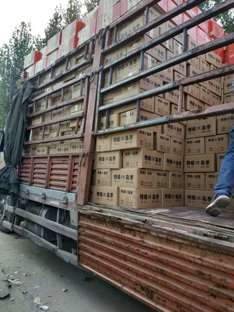 茌平特产乌枣，黑枣，又名焦枣，熏枣