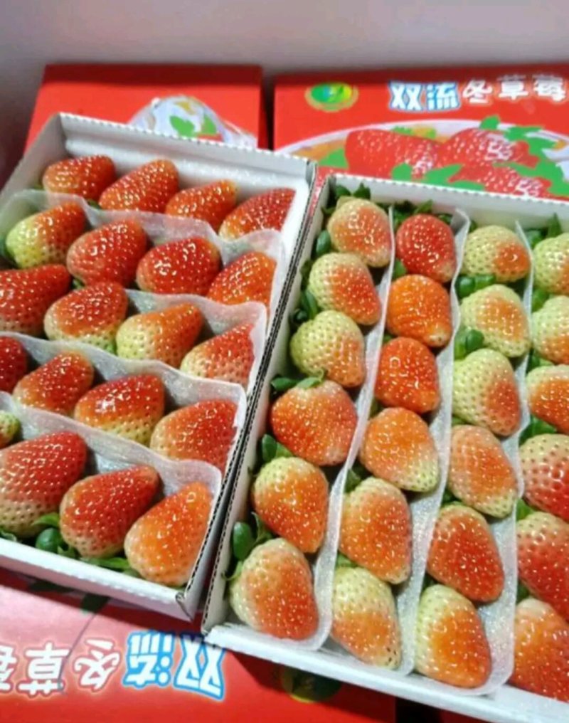 云南夏季草莓