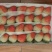 云南夏季草莓