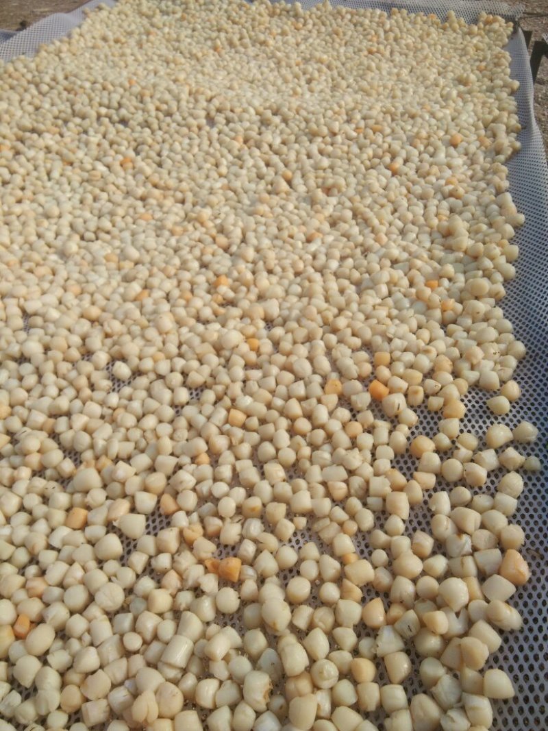 干贝食用冰冻0.1只/kg以下