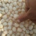 干贝食用冰冻0.1只/kg以下
