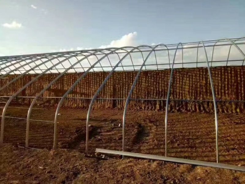 天津温室大棚及各种配件设计安装制作厂家直销