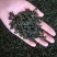 桑叶茶霜后桑叶茶散装