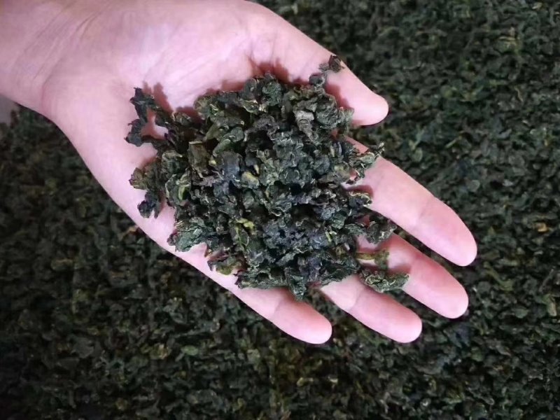 桑叶茶霜后桑叶茶散装