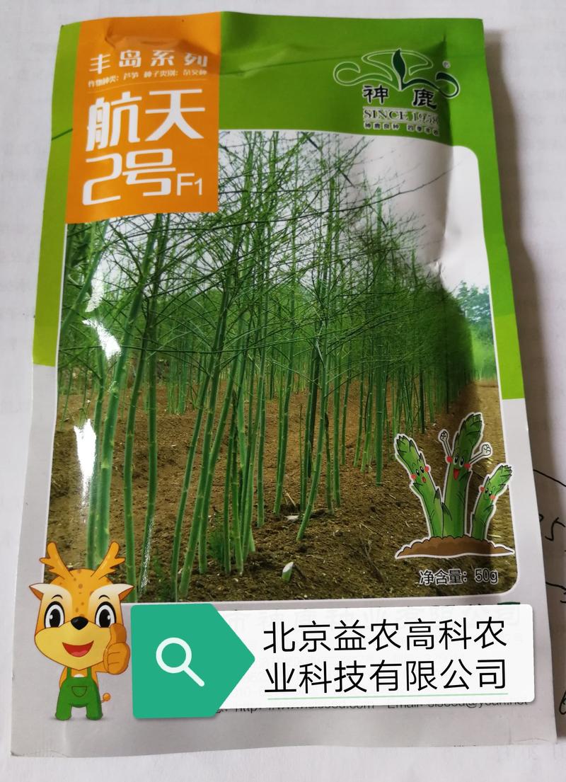 北京芦笋种子航天2号抗病耐湿，产量高不散头现货供应