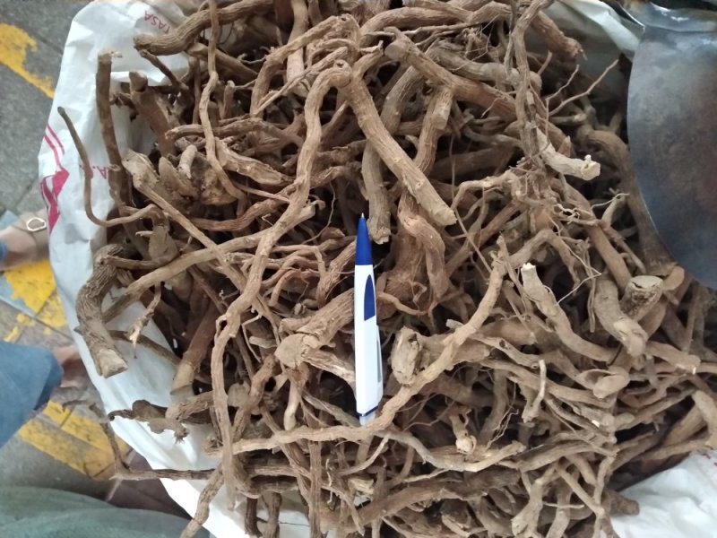 黄花倒水莲足干