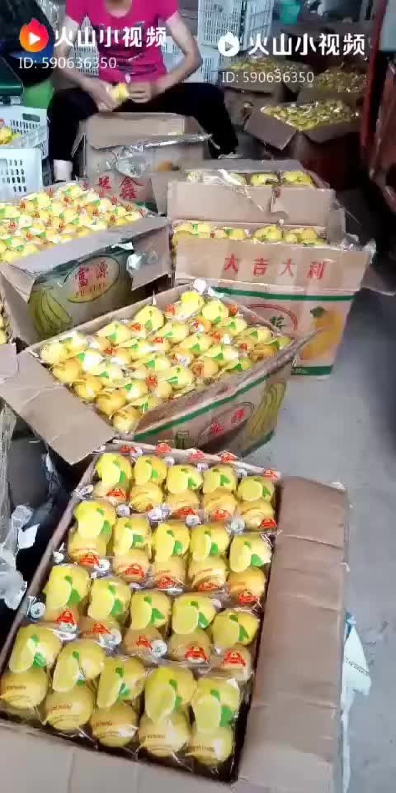 柠檬黄果，大中小可选一二级果