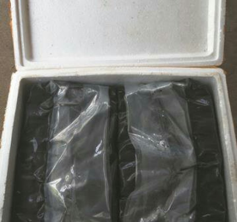 臭豆腐生胚批发310元2000片包运费