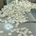 臭豆腐生胚批发310元2000片包运费